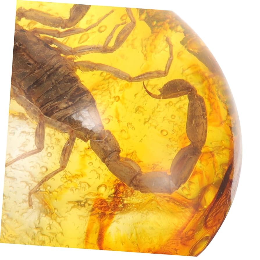 Amazon.co.jp: Hohopeti 3個 昆虫琥珀標本 人工琥珀 琥珀の標本