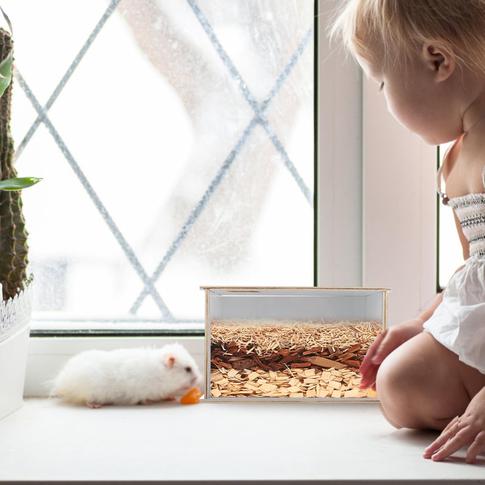 Holzbadewanne für Chinchillas mit Acrylscheibe Dekorative Sandbadbox Verhindert Sandverschütten Sicher für Spielen und Baden für Zuhause