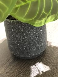 ubuy Ghana