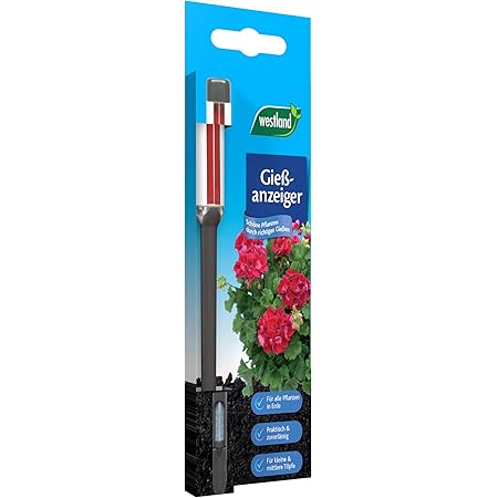 Westland Gießanzeiger für alle Pflanzen in Blumenerde, Kein Batteriebetrieb, Kunststoff, Höhe: 16 cm, Gießanzeiger, Anthrazit