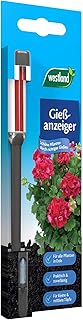 Seramis Westland Gießanzeiger für alle Pflanzen in Blumenerde, Kein Batteriebetrieb, Kunststoff, Höhe: 16 cm, Gießanzeiger, Anthrazit 732110