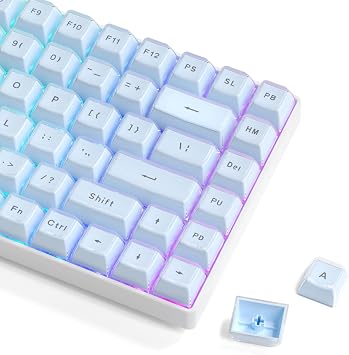 Womier Blue Jelly Keycaps, Shine Through Keycaps for Mechanical Keyboard | OEM Profile Keycap Set, 113-Key Custom Keycaps for 60%,75%,100% Keyboards with Cherry/Gateron MX Switches