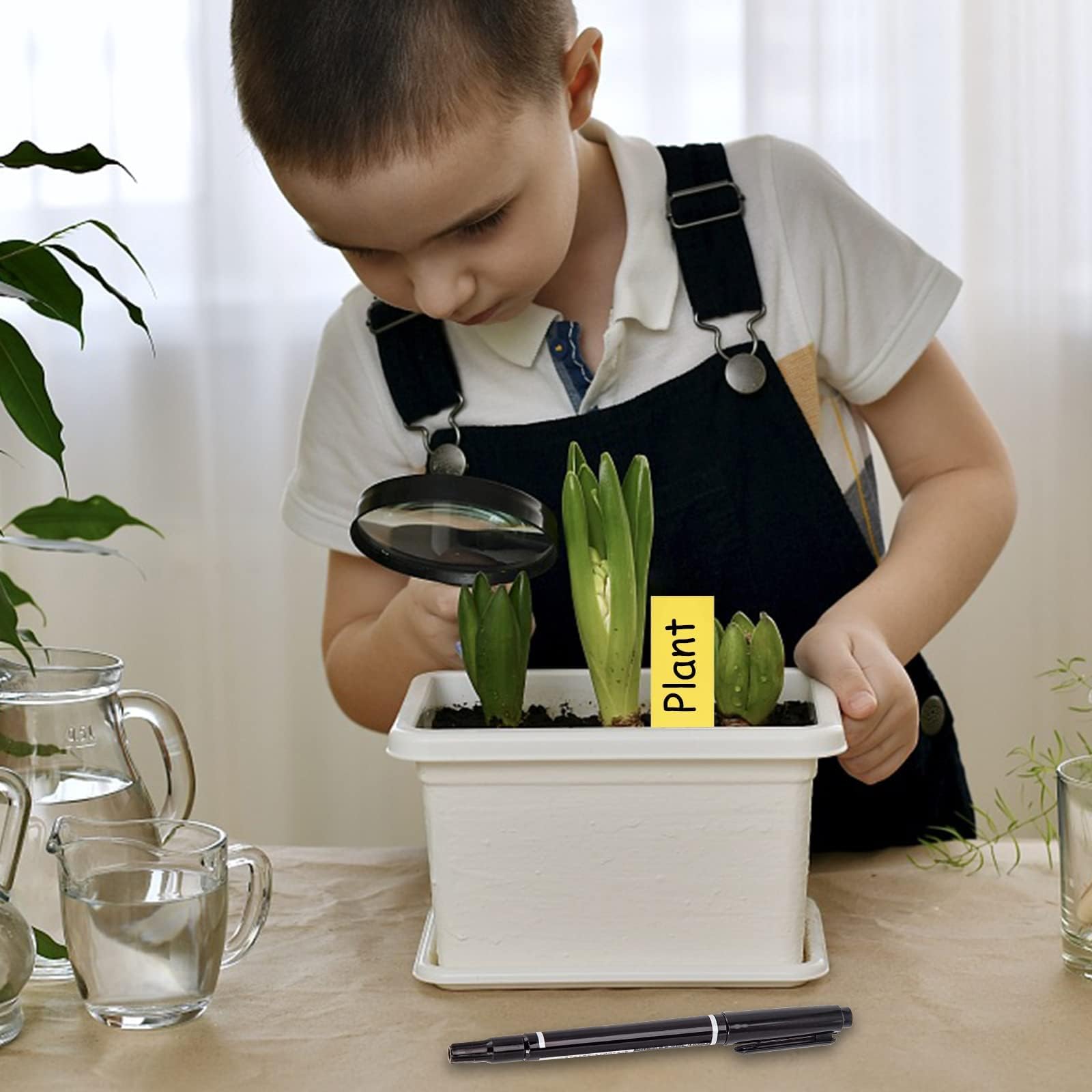 500 étiquettes De Jardin Imperméables - Marqueurs Plantes En PVC - 5 Couleurs Pour Semis Et Pots