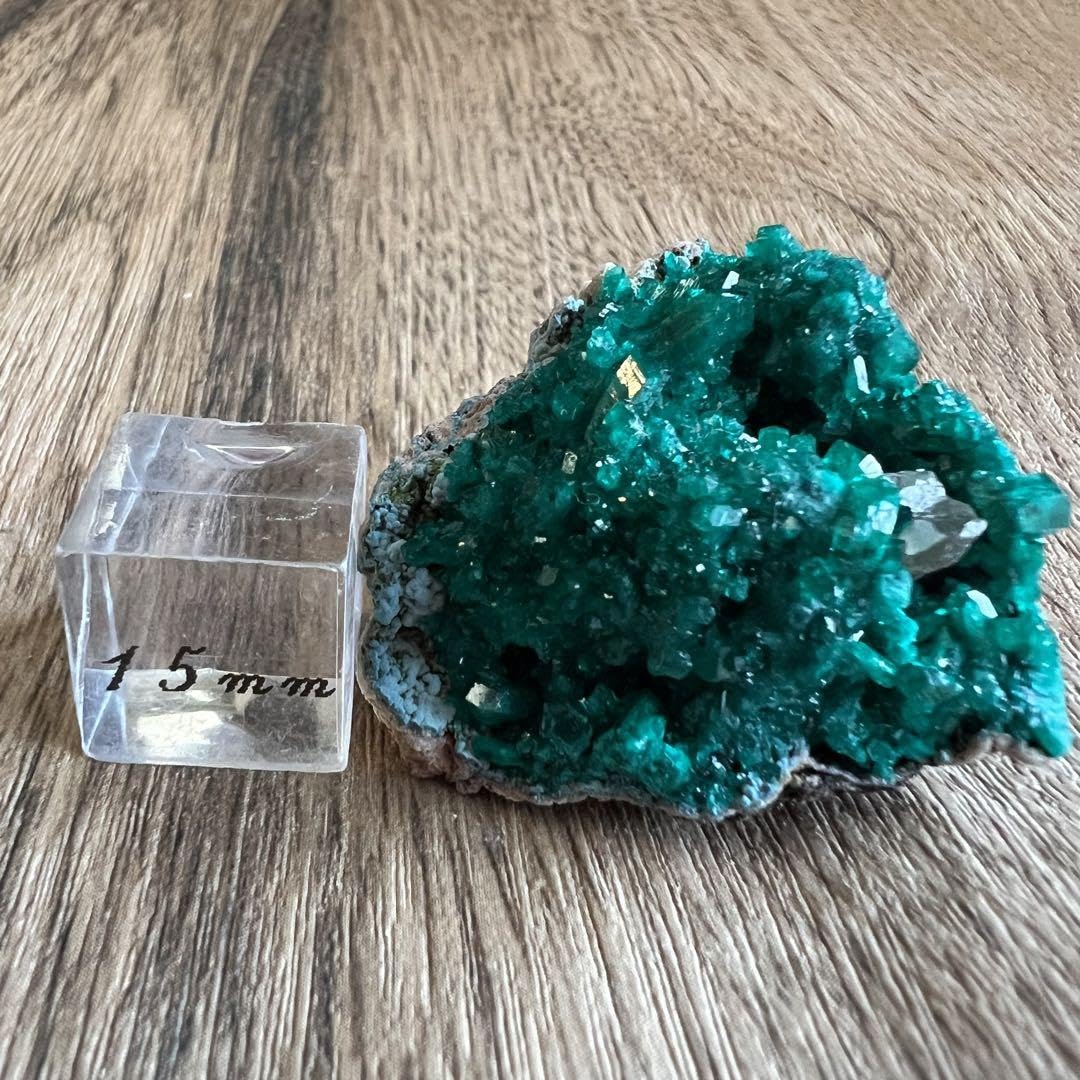 ダイオプテーズ セルサイト プランヘ石  共生 鉱物 標本 原石 Amazon.co.jp: ダイオプテーズ セルサイト プランヘ石 共生 鉱物 標本