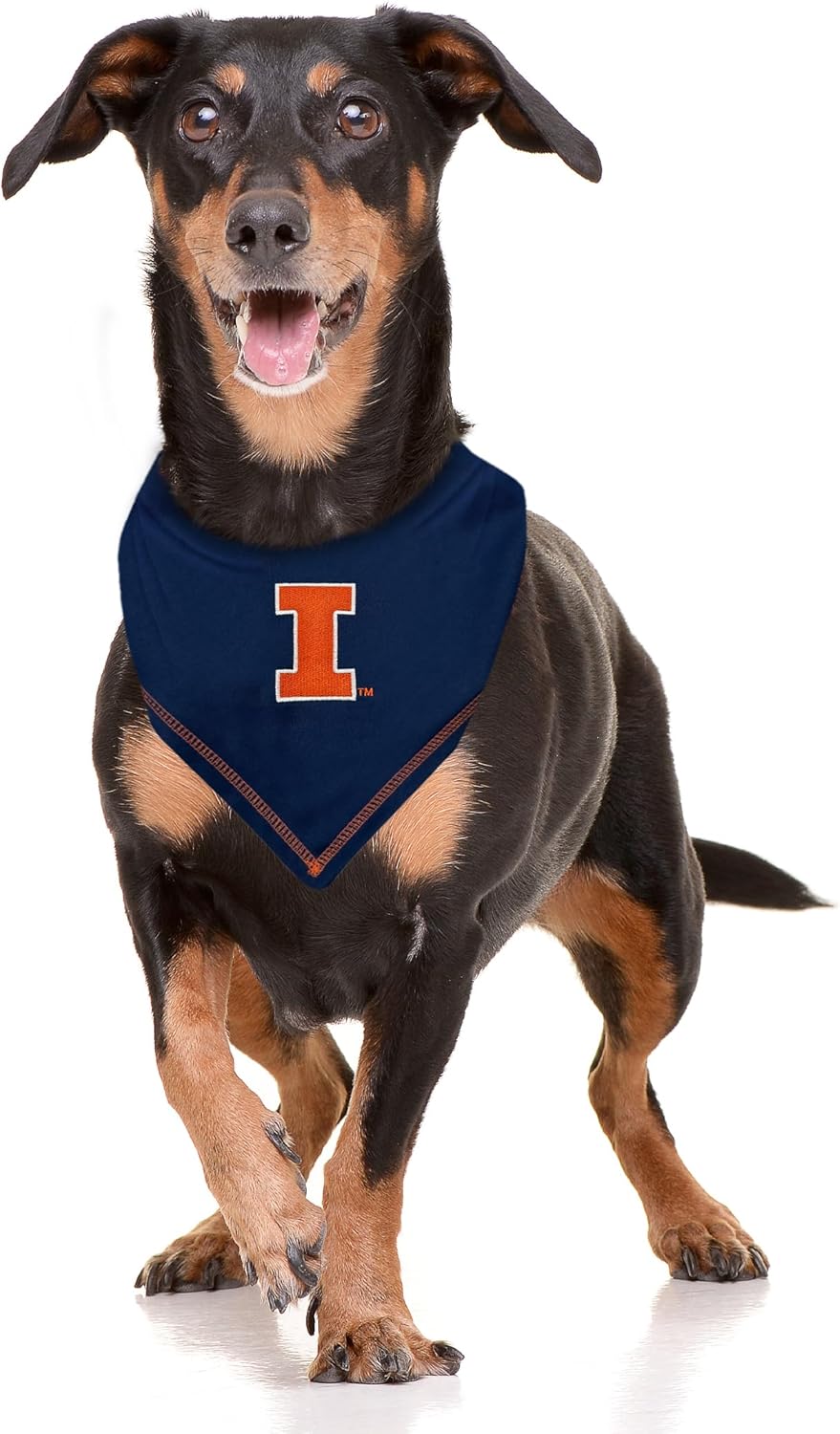 Pets First NCAA Illinois Fighting Illini Lions TIE Bandana, Size Large/X-Large. Dog Bandana Scarf Bib for Pet Cat Dog. The Ultimate Game-Day, Party Bandana