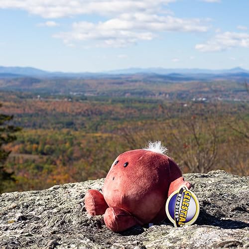 Miniatura 6 de Celestial Buddies Mars Buddy Peluche de peluche suave de 9 pulgadas, características bordadas, divertidos datos del planeta rojo etiqueta para