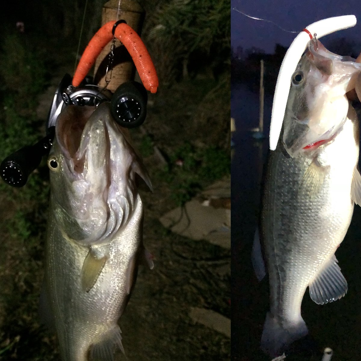 80 Leurres Souples Seasky Vers De Poisson Rouge Pailletés Bleu 2,25 Pouces - Appâts Neufs