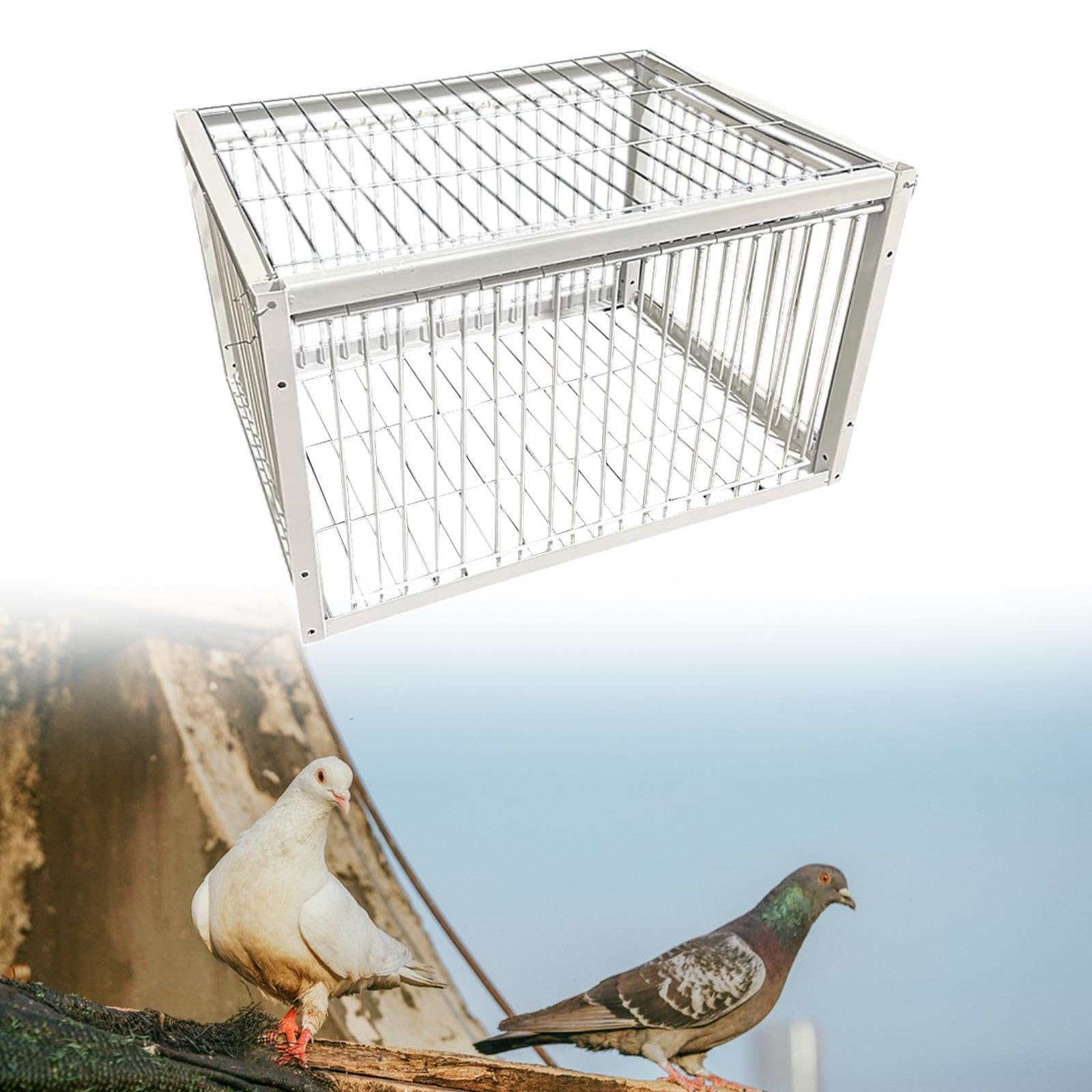 鳩子ページ/ご確認した上ご購入お願いします(❁´◡`❁) Amazon | MAAOBR 鳩かご 鶏のケージ 屋外 鳩小屋 鳩捕り籠 鉄製