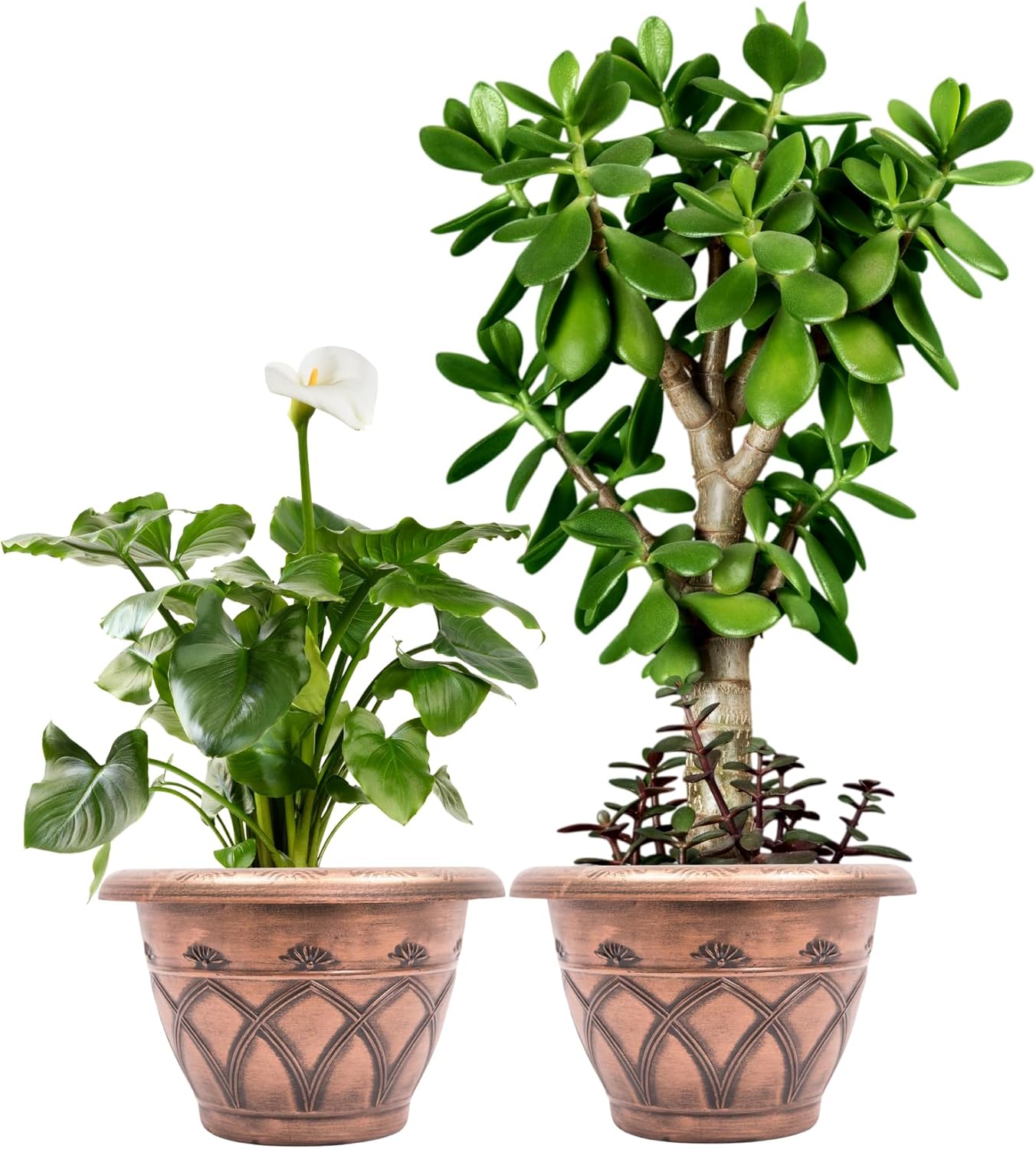 Medieval Arch Rustic Look Set of 2 Plastic Planter 12X8 Flowerpot for Indoor, Outdoor, Garden, Patio, Deck, Balcony, Office Ornaments, Home Decor (Copper)