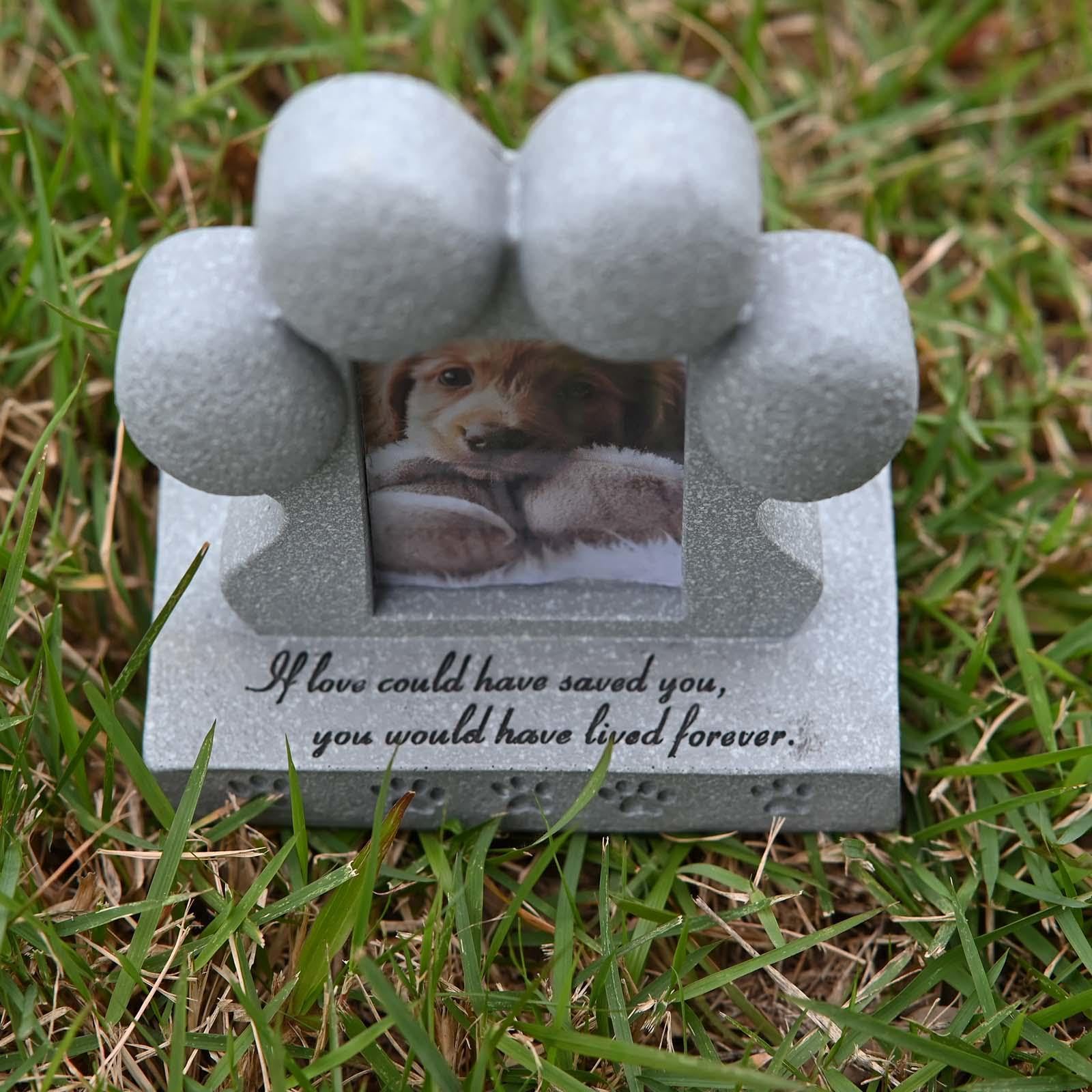 Cornice Commemorativa per Cani con Portachiavi con Peli di Cane, Regalo per Chi Ha Perso Un Cane Ricordo per Cani E Gatti