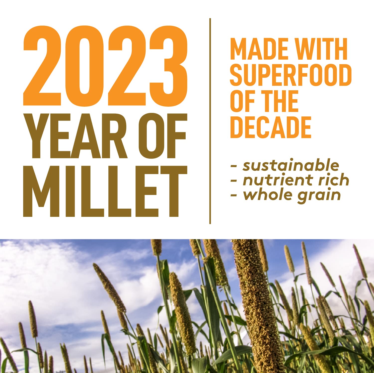 Incept Foxtail Millet, 1 lb Millet Grain & Gluten Free Millet Seed, Superfood of the Decade