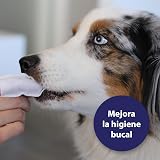 Ver la foto 2