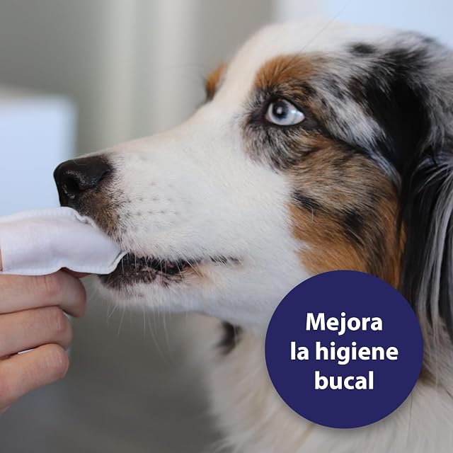 Foto 2 de 6 de Canosept Toallitas De Limpieza De Dientes Para Perros 50 Piezas