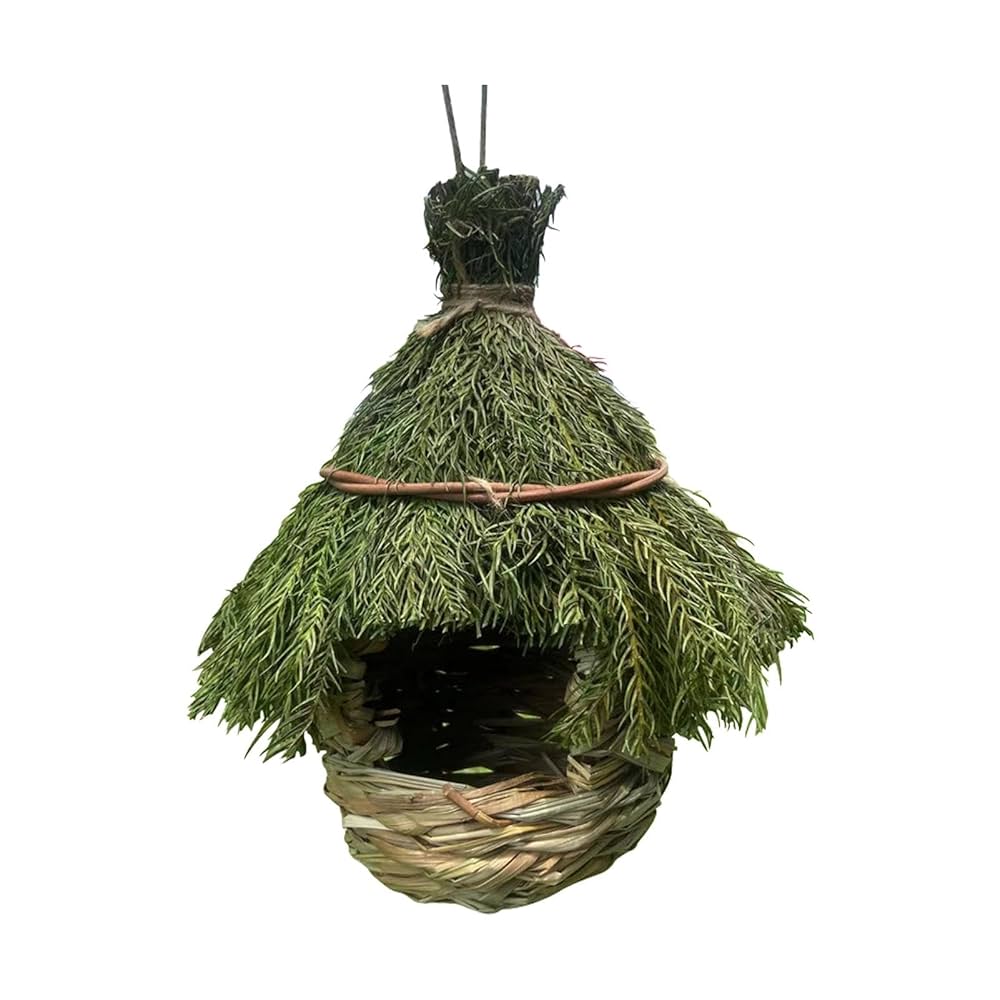 鳥の羽専用出品 Amazon | インコ用バードブランコ | 鳥の止まり木用のカラフルな