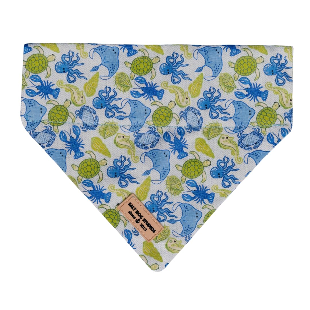 Salt Dog Studios Dog Bandana - Slip-On Dog Collar Bandana, Soft Cotton Dog Scarf for Small, Medium and Large Dogs, 19 (Ocean Life, Medium) — image 1