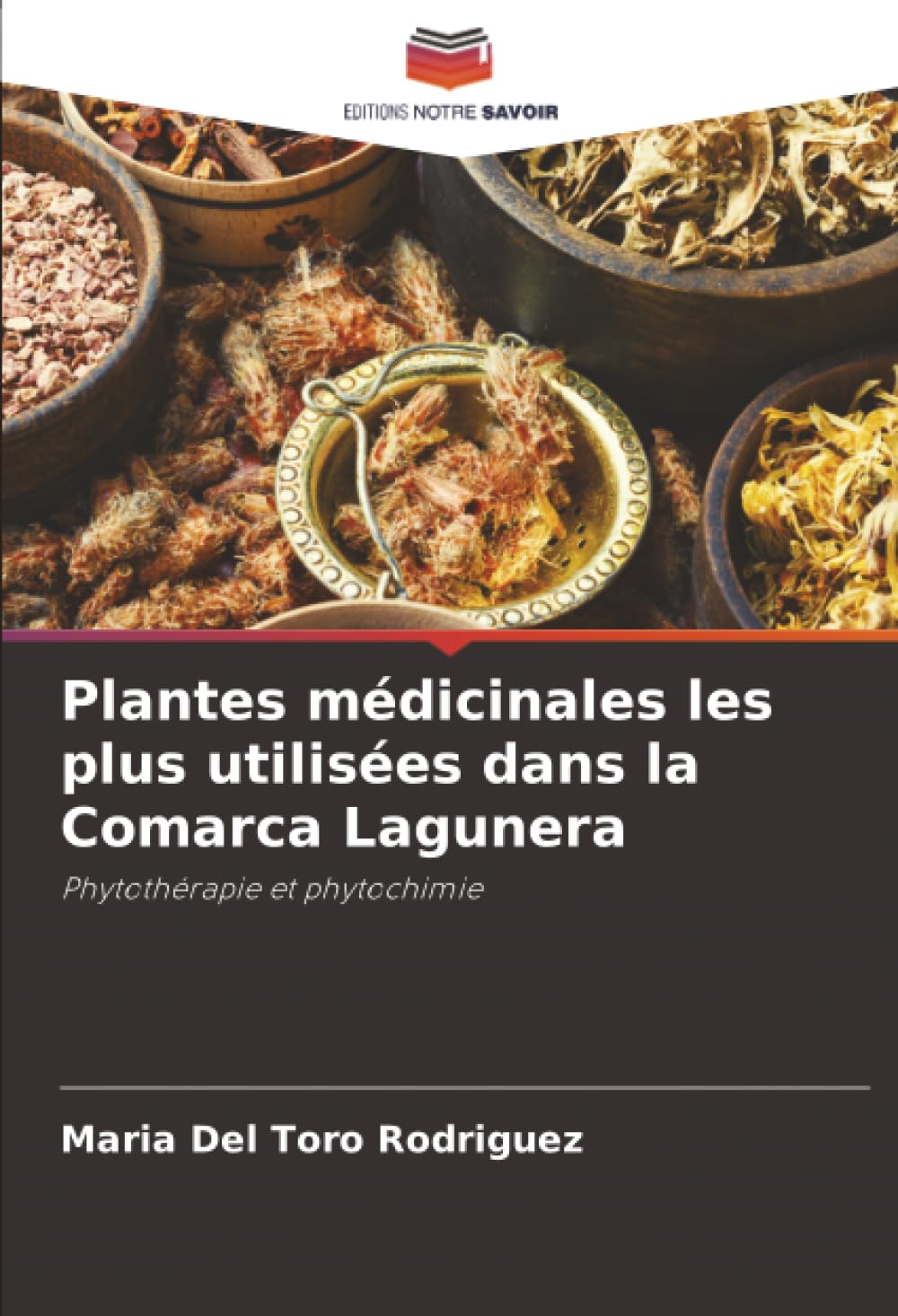 Plantes médicinales les plus utilisées dans la Comarca Lagunera: Phytothérapie et phytochimie