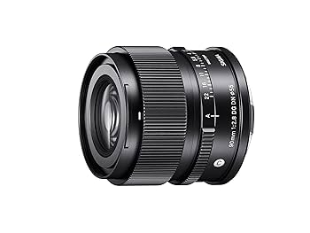 Amazon.com : 90mm F2.8 DG DN for L-Mount Black : Electronics