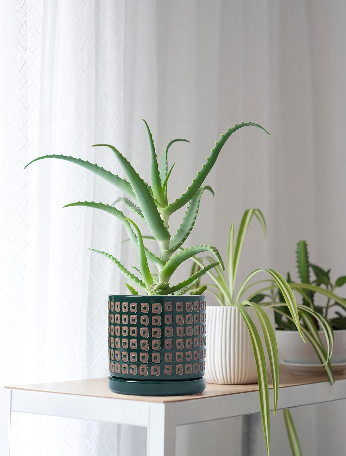 D'vine Dev Set of 2 Ceramic Planter Pots with Drainage Hole and Saucer, 4.5 Inch 6 Inch Plant Pots for Plants Indoor Houseplants, Green, 99-A-4