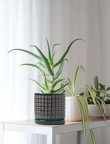 Miniatura 2 de D'vine Dev Juego de 2 macetas de cerámica con orificio de drenaje y platillo, macetas de 4.5 pulgadas y 6 pulgadas para plantas