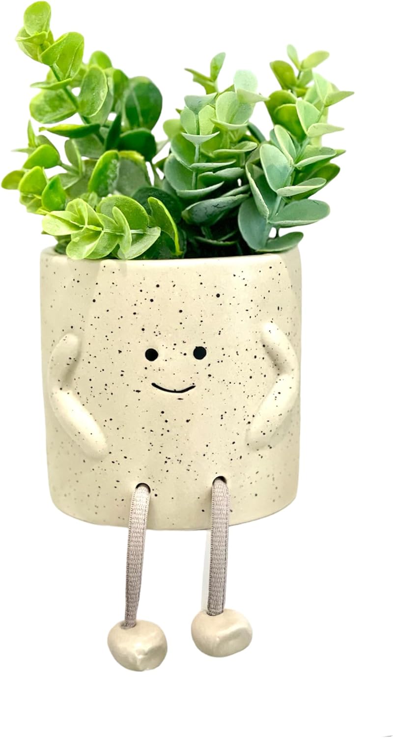 Smiling Floral Succulent Planter, Cute Face Decorative Pot (4 Inch) with Rope Legs (Natural)