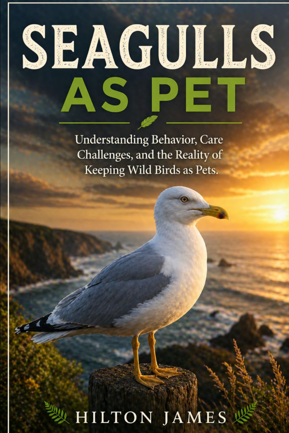 SEAGULLS AS PET: Understanding Behavior, Care Challenges, and the Reality of Keeping Wild Birds as Pets.
