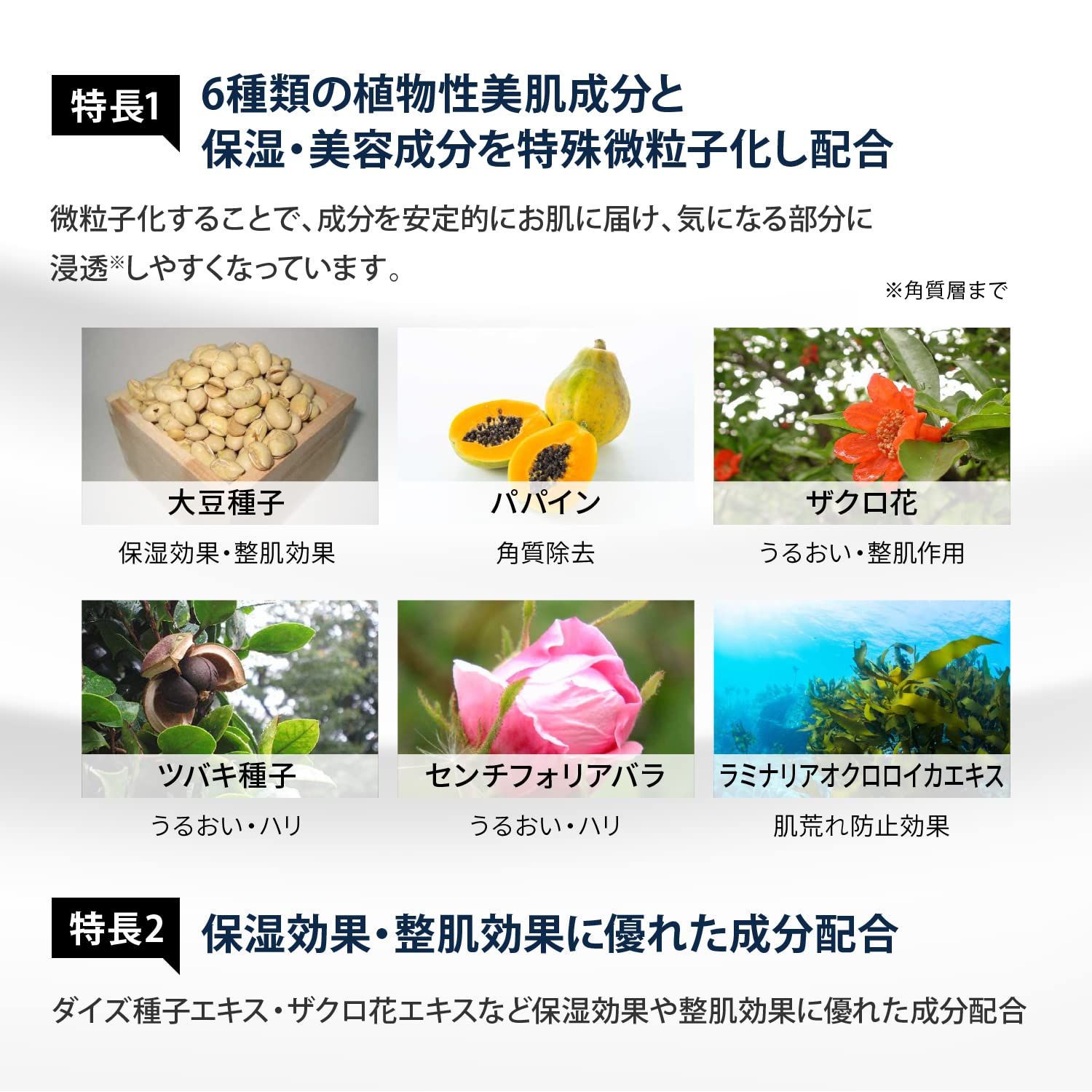 Amazon | ヤーマン パーリースキンローション 光美容器 レイボーテ