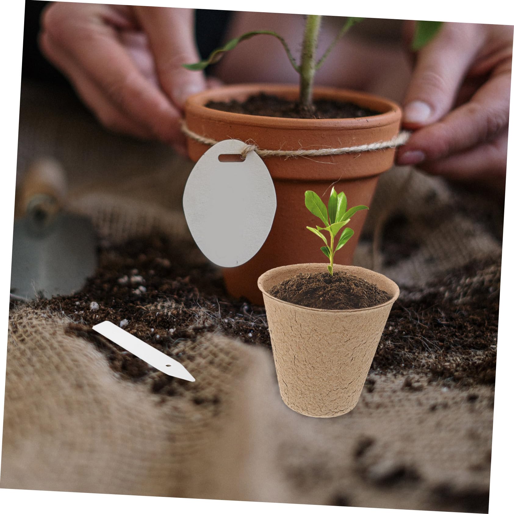 Abaodam Vasi da Vivaio Biodegradabili in Polpa di Carta Riciclata 110 Pezzi Etichette per Piantine, Vaso di Torba Iniziale per Semina e Trapianto, per Giardinaggio Domestico