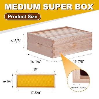BeeCastle 8 Frame Medium Super Bee Hive Box, Langstroth Honey Bee Hive Include Beehive Frames and Waxed Foundations (Unassembled)