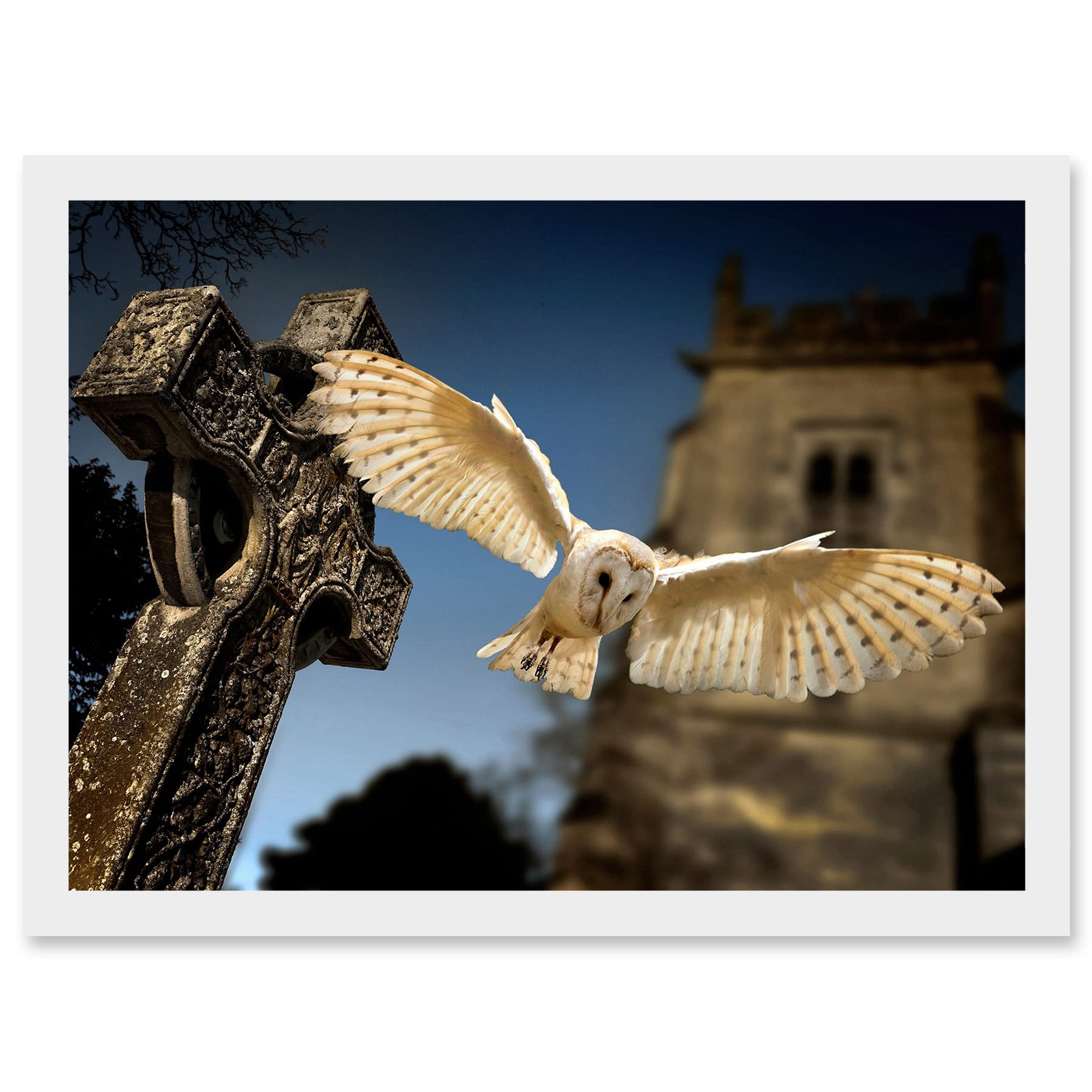 Artery8 Photo Barn Owl in Flight Bird Alba Graveyard Scotland Artwork Framed Wall Art Print A4