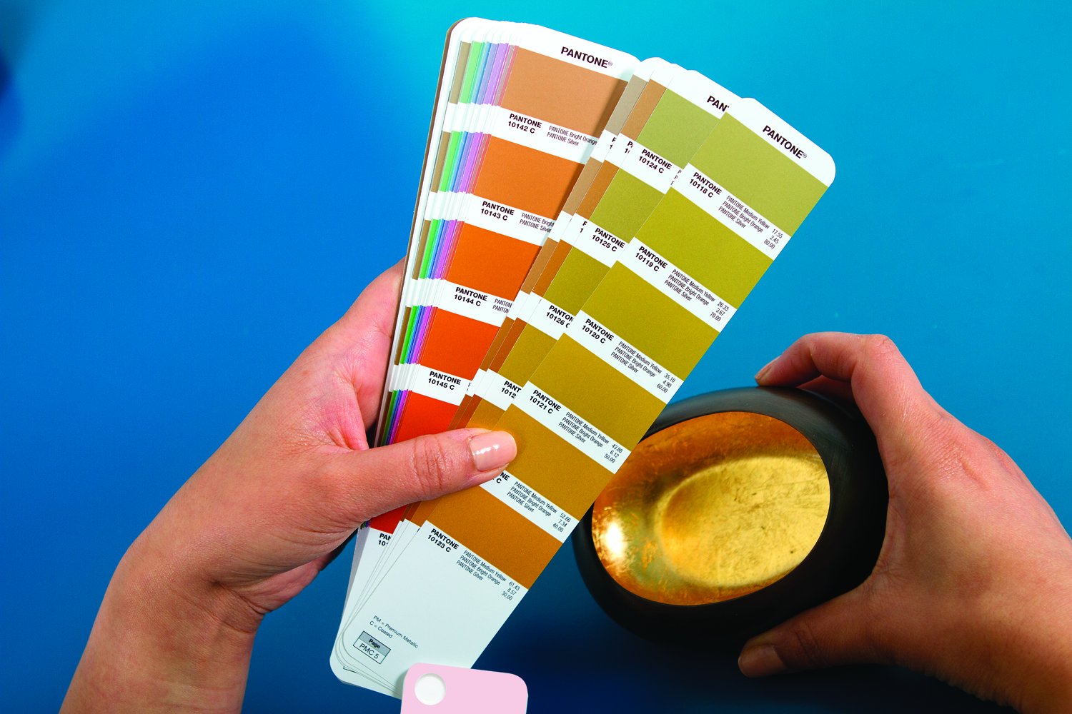 PANTONE GG1505 Plus Series Premium Metallics Guide 4