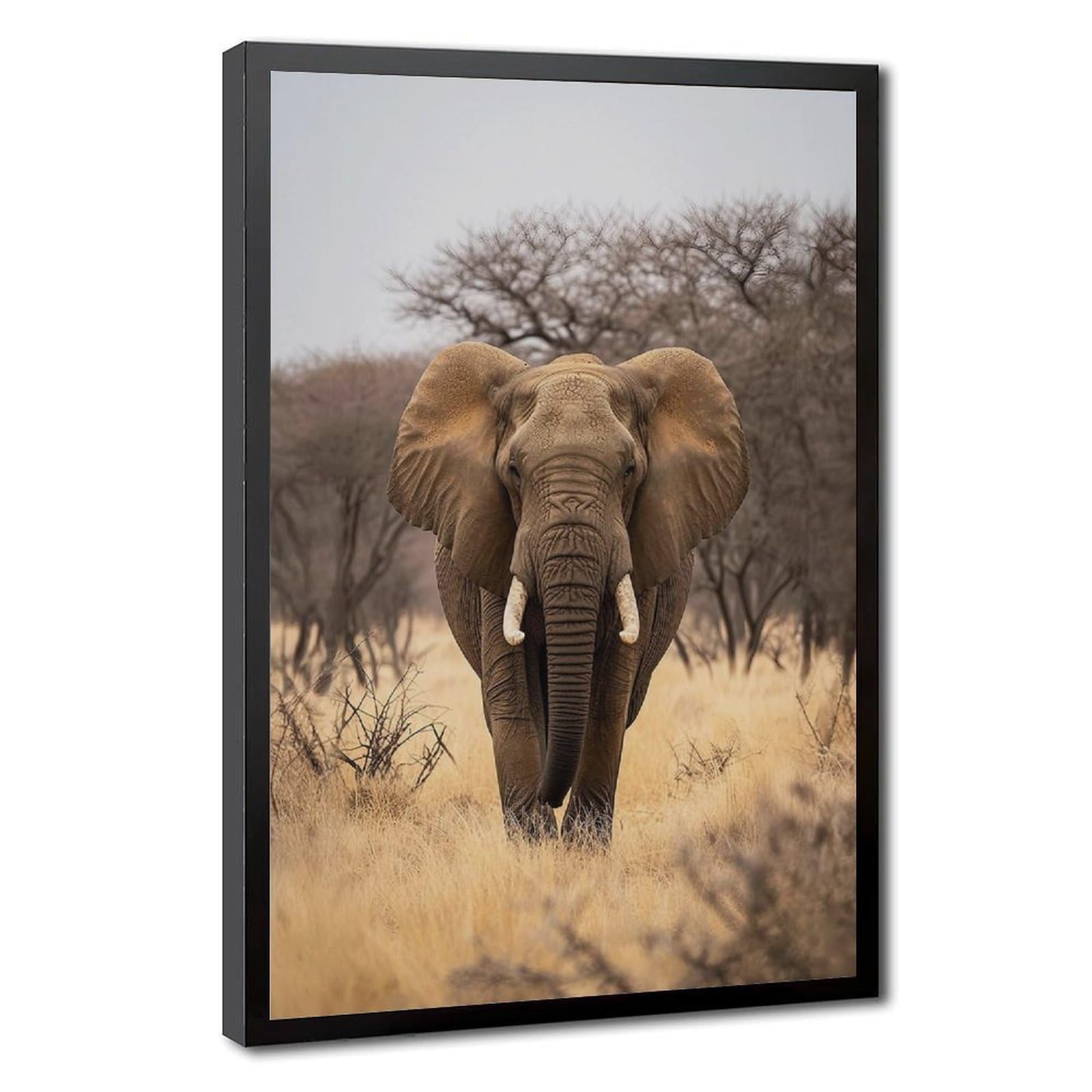 Bareronor African Elephant Canvas Poster Bedroom Decor Landscape Office Room Decor Gift 12" L X 18" W
