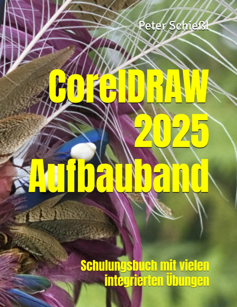 CorelDRAW 2025 Aufbauband - Schulungsbuch mit vielen integrierten Übungen (CorelDRAW 2025 Schulungsbuch-Serie: CorelDRAW + Corel Photo-Paint + Aufbauband, Band 3)