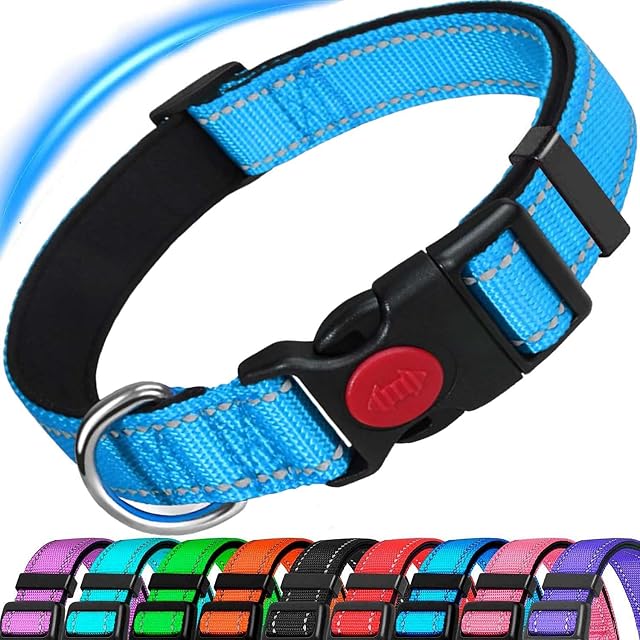 Dog Collar, Reflective Adjustable Basic Dog Collar with Soft Neoprene Padding