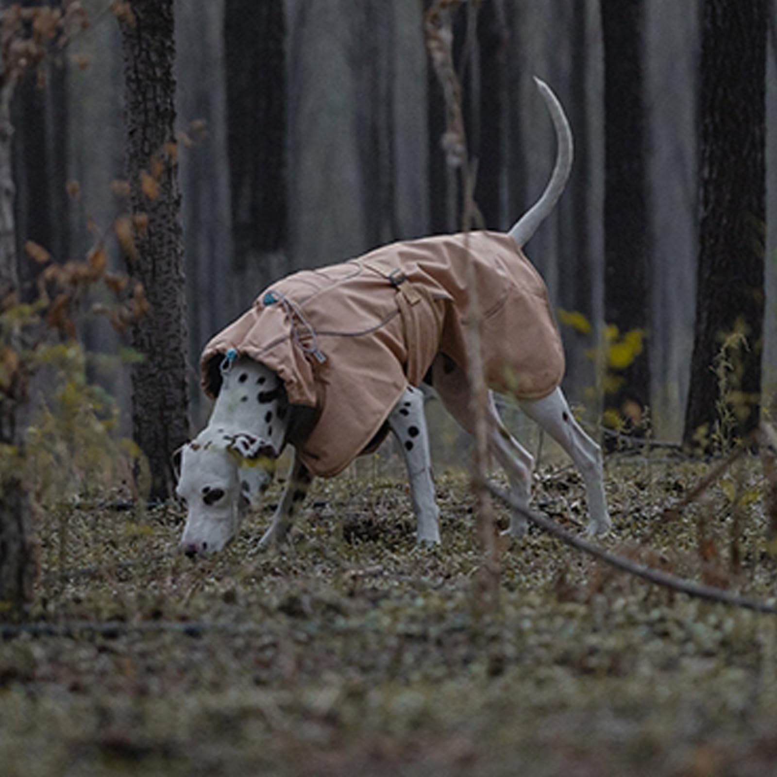 Abrigo Impermeable para Perro, Chaqueta de Cuello Alto Reflectante y Ajustable Abrigo de Invierno Softshell Chaqueta de Perro,Marrón,XXL