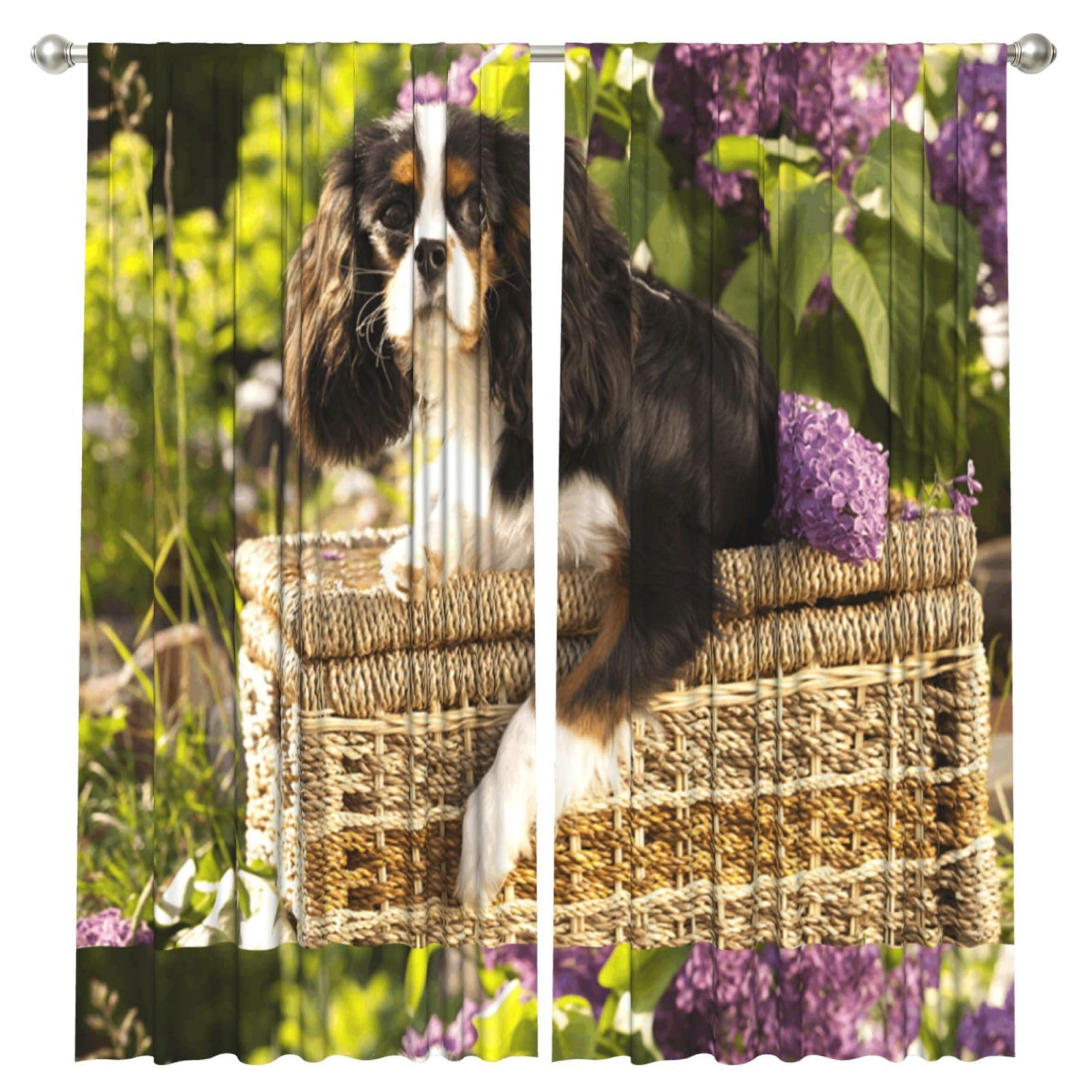 InOmak Cavalier King Charles Spaniel, 2 Panels Window Curtains 52 x 84 Inch Blackout Curtains for Living Room Bedroom