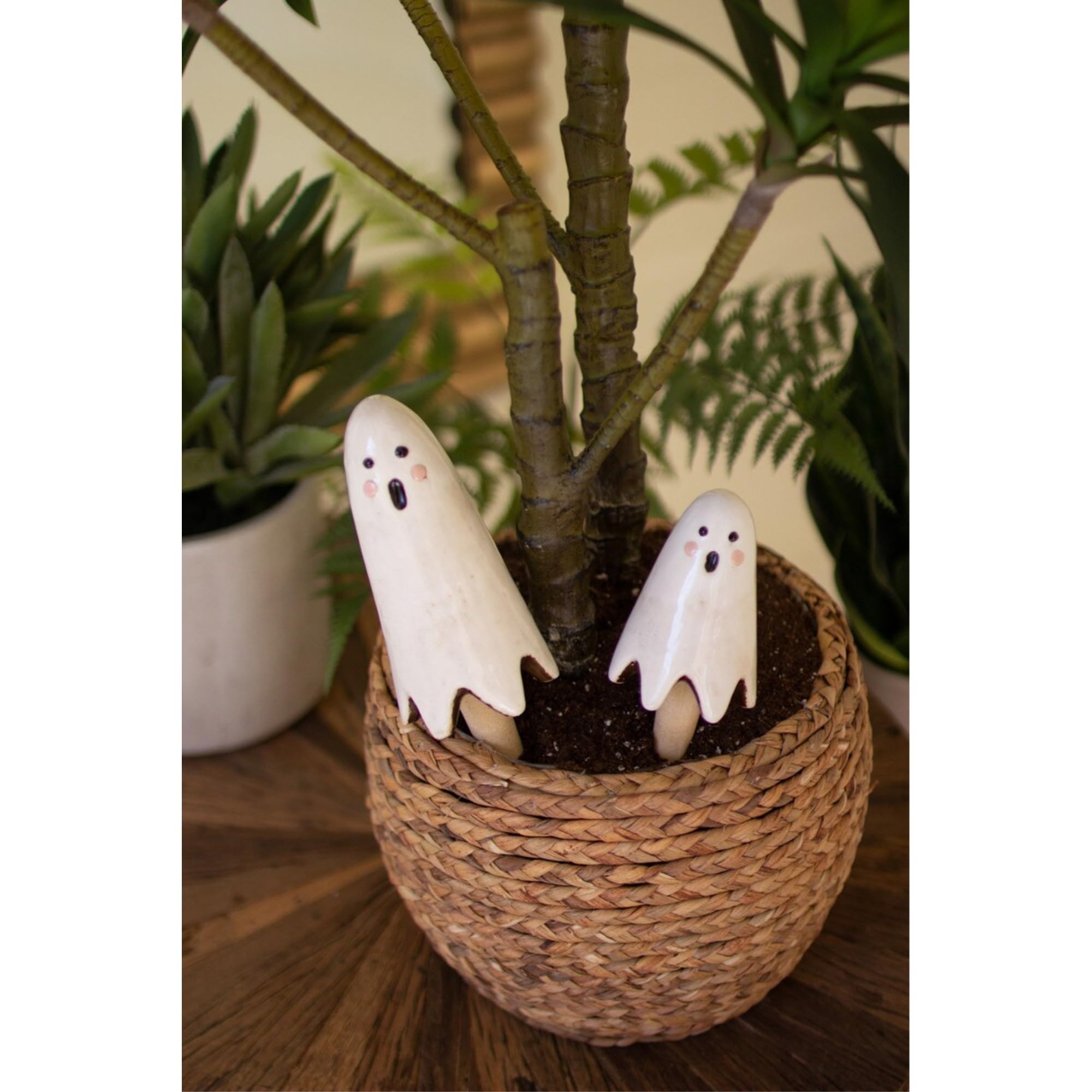 Amazon.com: KALALOU Set of Two Ceramic Ghost Plant Sticks : Patio