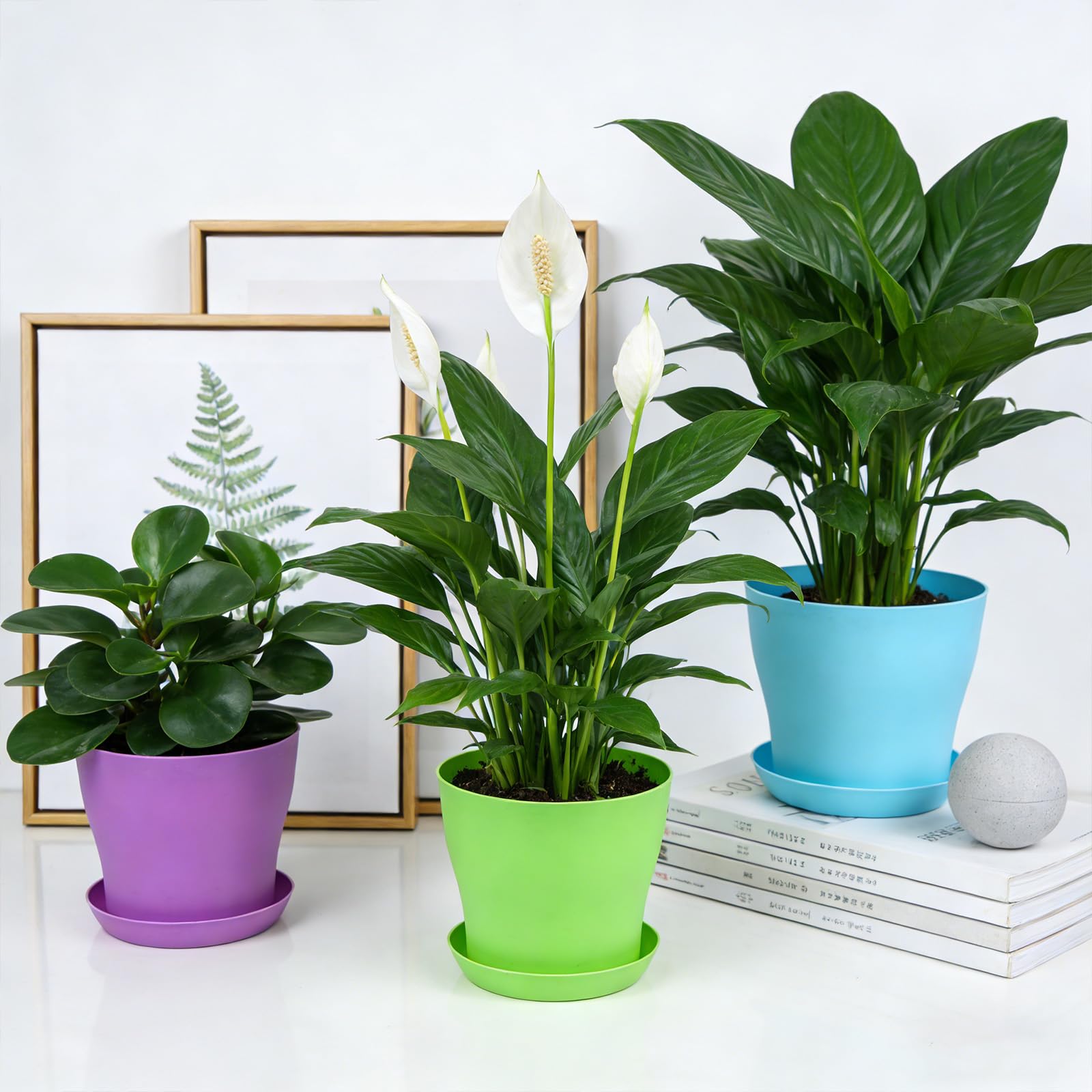 8 Pack Plastic Plant Pots 14cm/5.5-in Flower Pots with Drainage Holes and Tray Modern Decorative Planter Pot Indoor Outdoor Planters for All House Plants(8 Colour) — view 7