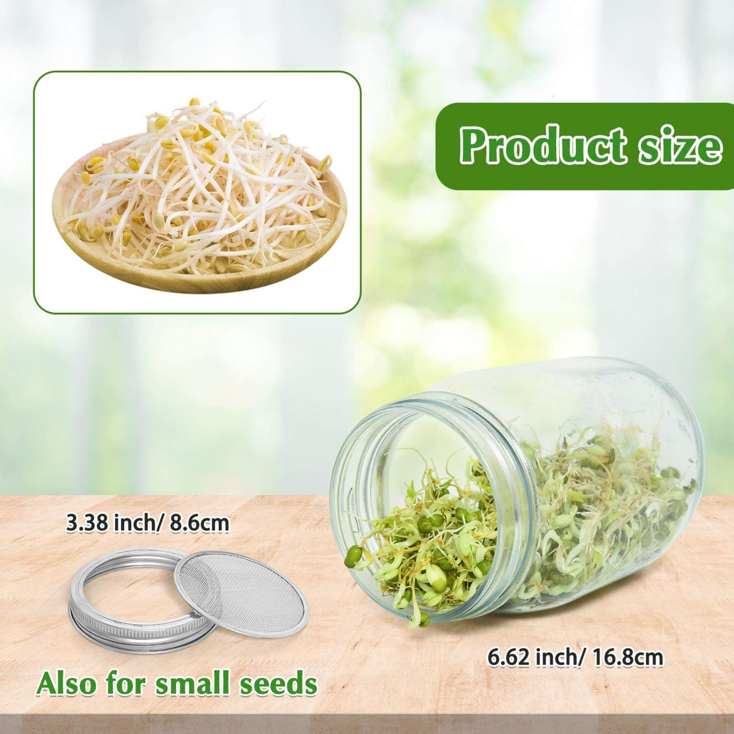 Rocinha Seed Sprouting Jar Kit, 2 Wide Mouth Sprouting Jars with Screen Lids Stands and Trays, Seed Germination Kit for Growing Broccoli, Alfalfa, and Bean Sprouts
