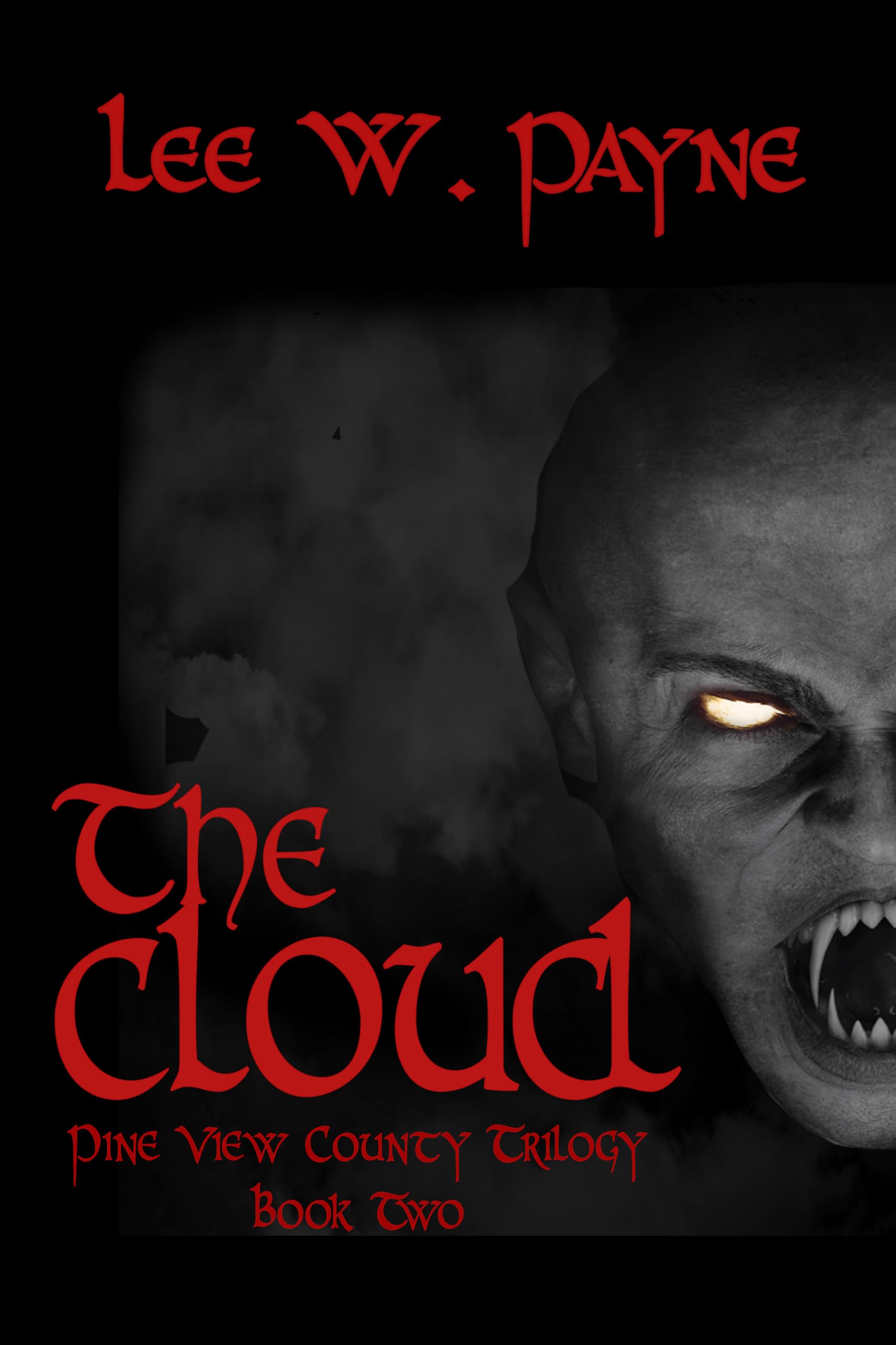 The Cloud (Pine View County Trilogy Book 2)