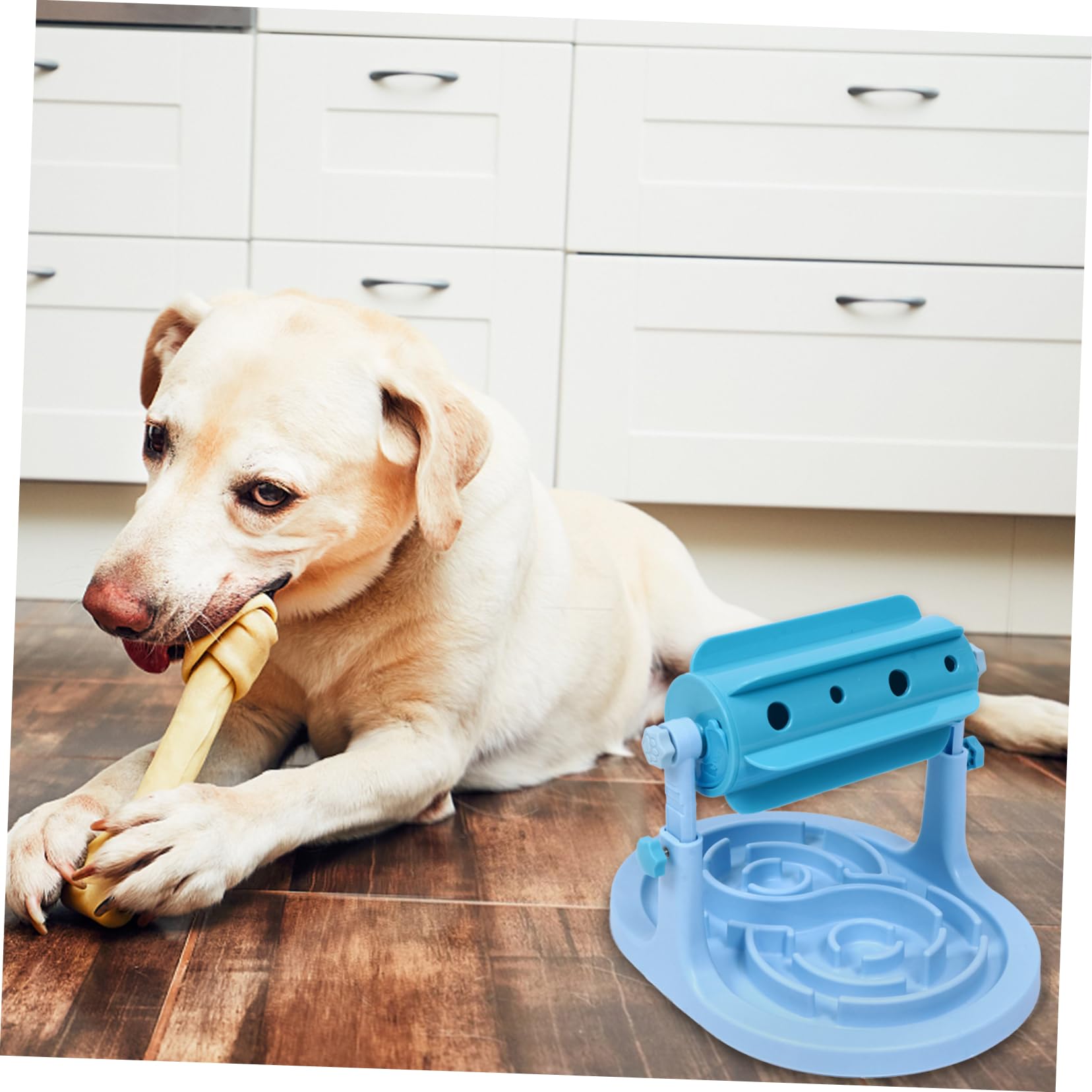 ibasenice Gamelle pour Chien et Chat en Abs Bleu Distributeur de Nourriture Ajustable, Anti-Fuite, pour Augmenter Le Plaisir de Manger Lentement la Maison