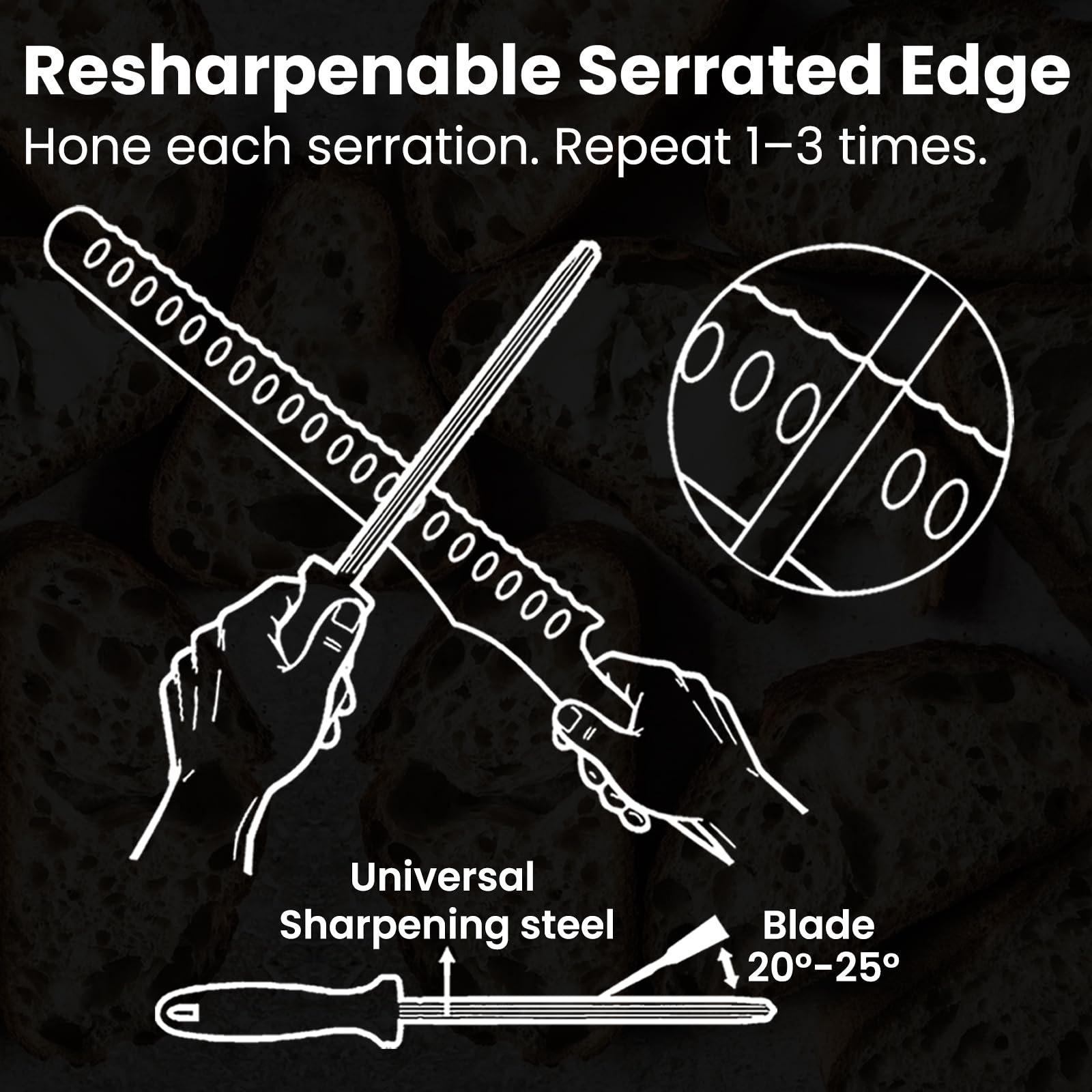 CoquusAid Bread Knife - Resharpenable & Sharp -3