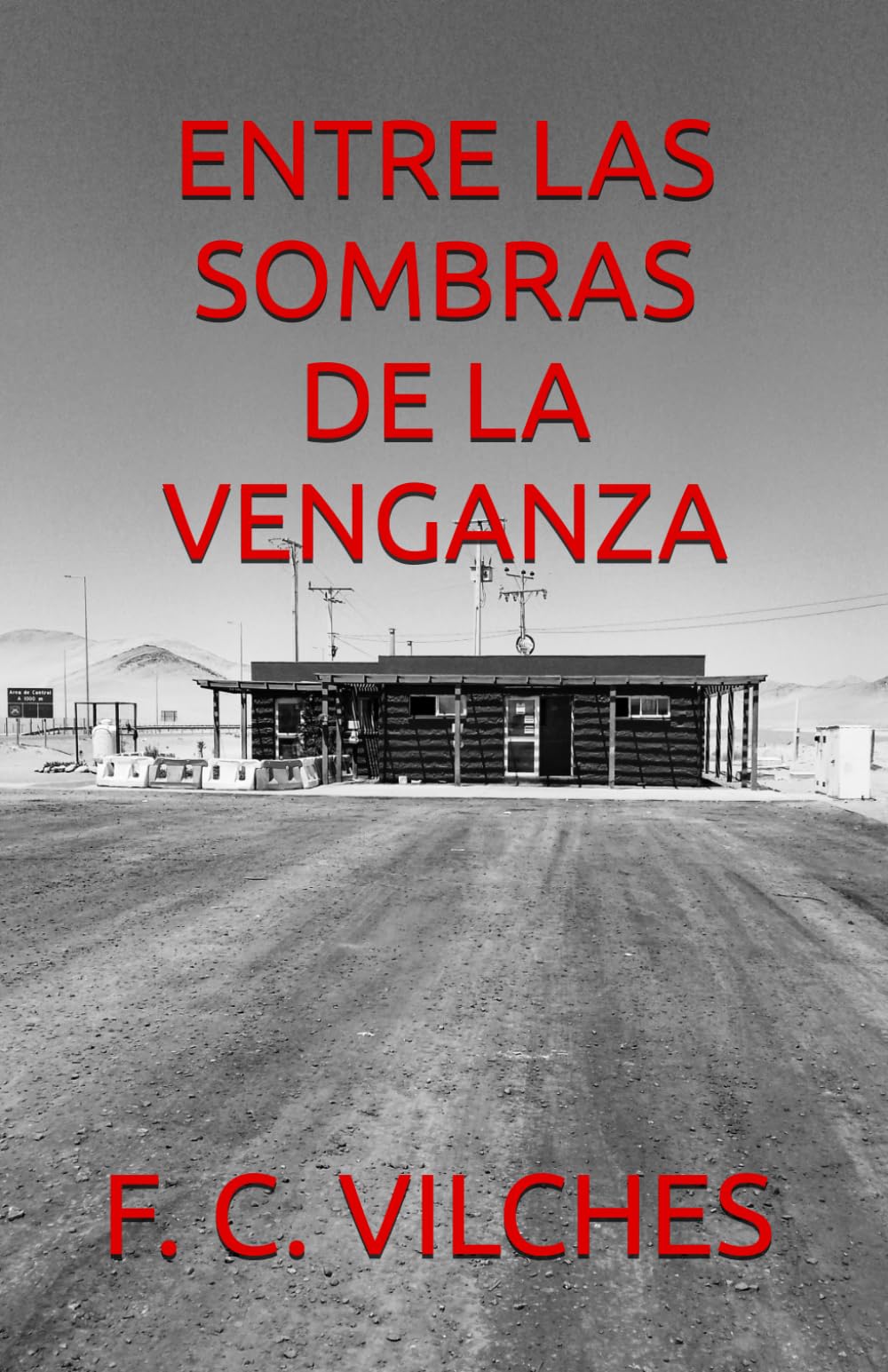 ENTRE LAS SOMBRAS de la venganza