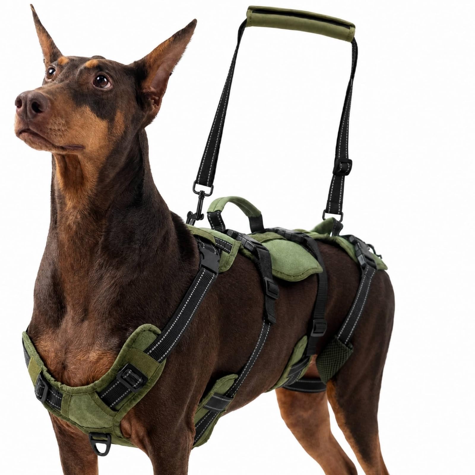 KESOTO Imbracatura per Cani con Maniglie Sicuro | Imbottito, Imbracatura di Riabilitazione, per Passeggiate All'aperto, Verde Militare, XL