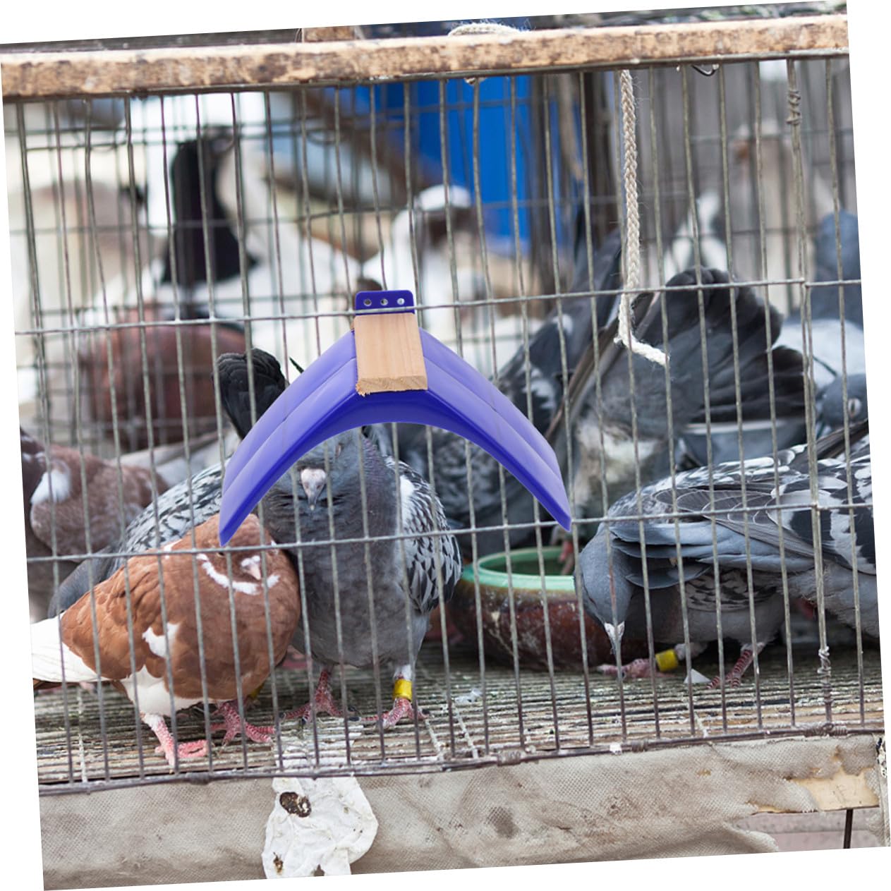 10 pièces Support Perchoir Oiseaux Bois Stand Multifonction pour Pigeons et Perroquets Barres Lisses et Sûres pour Repos et Jeu Adapté Aux Oiseaux Moyens et Grands Accessoire pour
