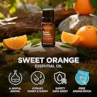 Vista 6 de Gya Labs Orange Essential Oil - 0.34 Fl Oz - for Hair, Skin, Diffuser, Aromatherapy & DIY Candle Making Scent