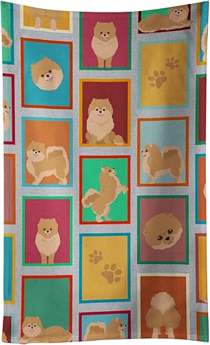 Caroline's Treasures MLM1169KTWL Lots of Orange Pomeranian - Toalla de cocina para invitados, toalla de baño decorativa para cara, té, paño de