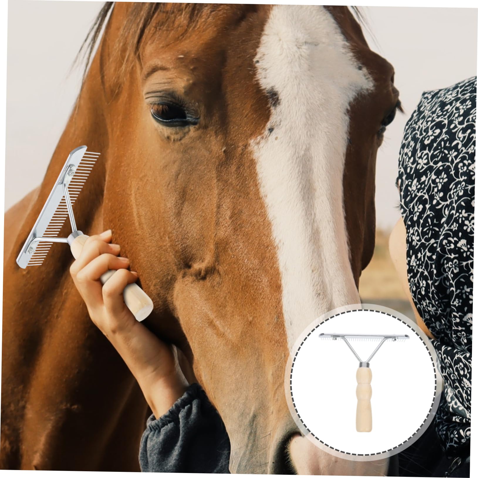 Toddmomy 4 Piezas peine de rastrillo de uñas de caballo Herramienta de limpieza para equinos rastrillo de pieles rastrillo deshojador herramientas cepillo de limpieza peine para caballos