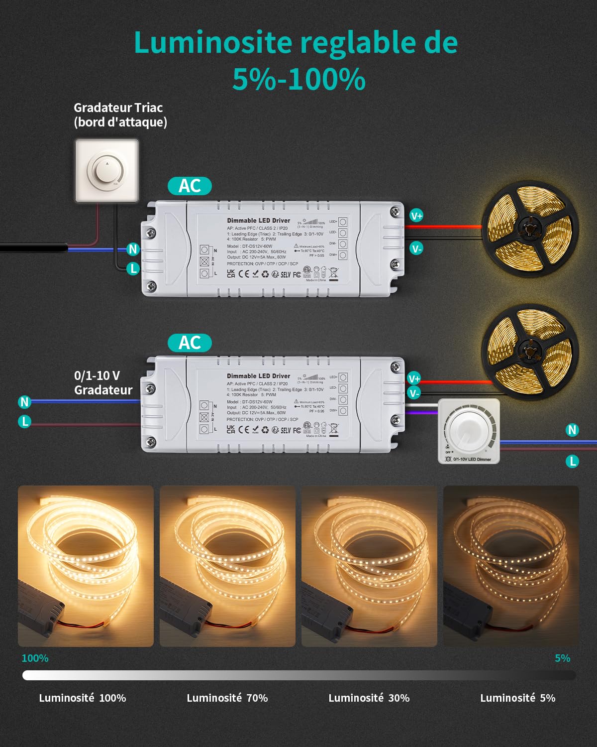 REYLAX Transformateur 220V 12V 60W 5A Dimmable Triac & 0/1-10V, Alimentation de Tension Constante Transformateur LED Basse Tension AC à DC Adaptateur Transfo