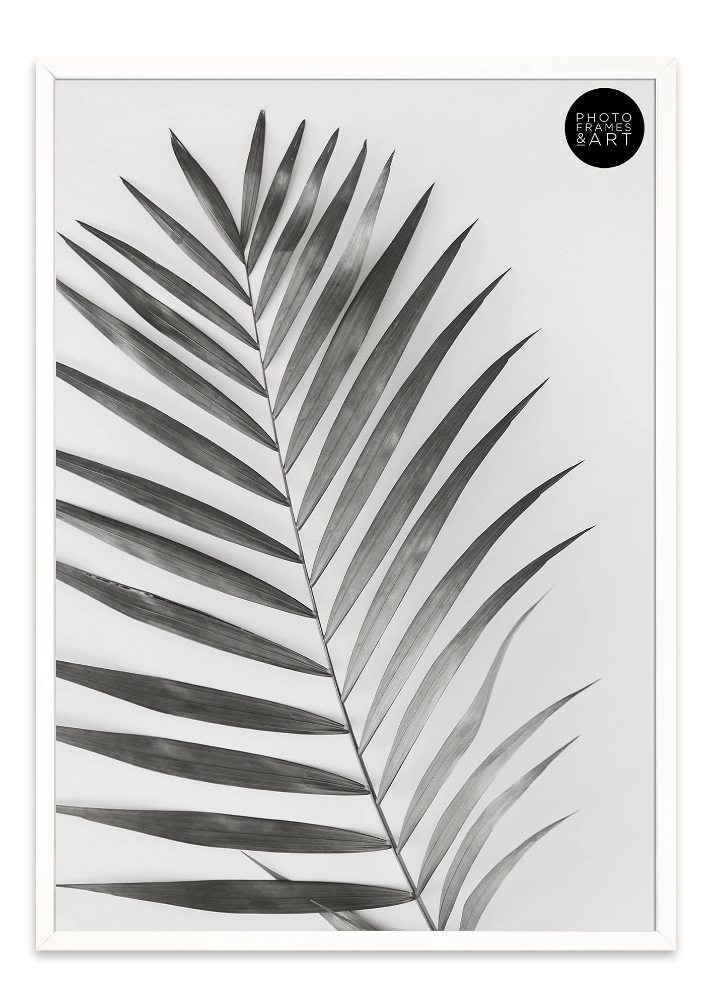 Pf+A White A2 Winchester Frame - Perspex Window - A2 Wooden Poster Frame - Premium Photo Picture Frame