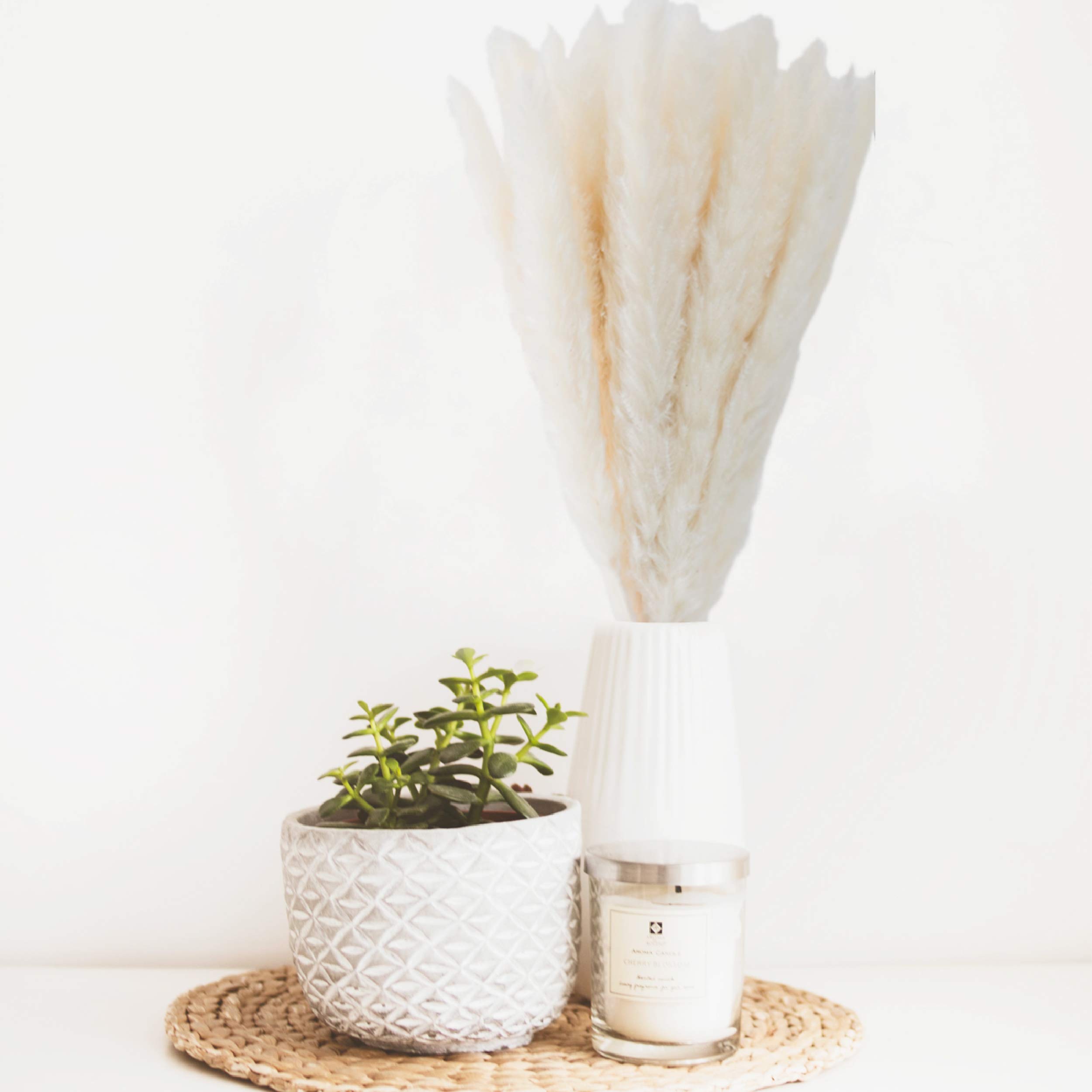 Buy 40 Pack GlamStems White Dried Pampas Grass Decor 18in w/ Safe Box